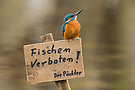 Pff … mir doch egal!