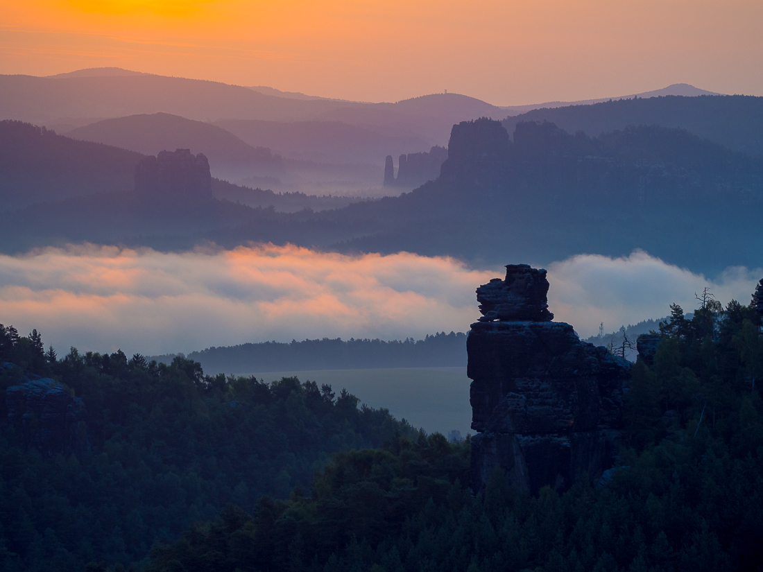 morgens über dem Elbtal