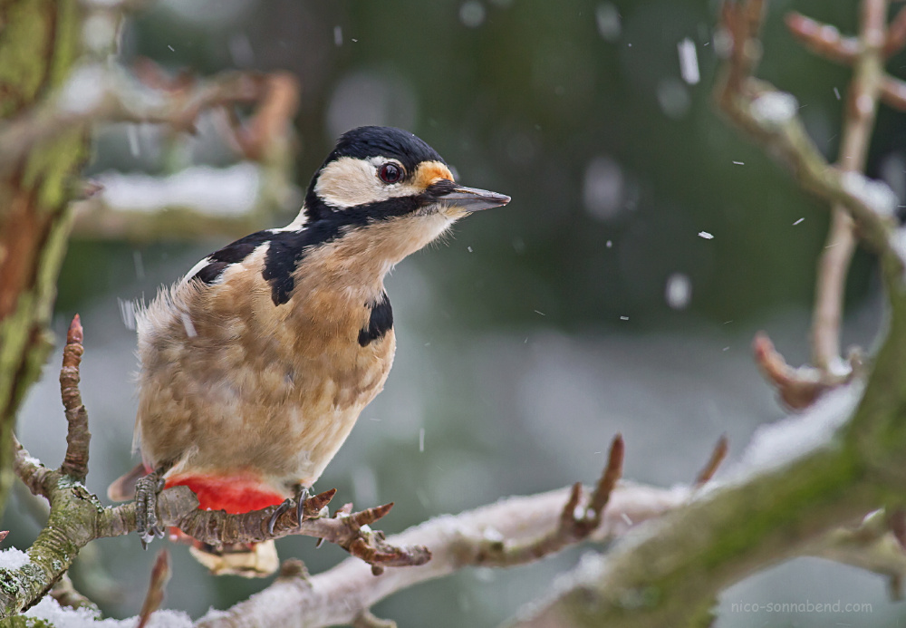 ist es schon winter???