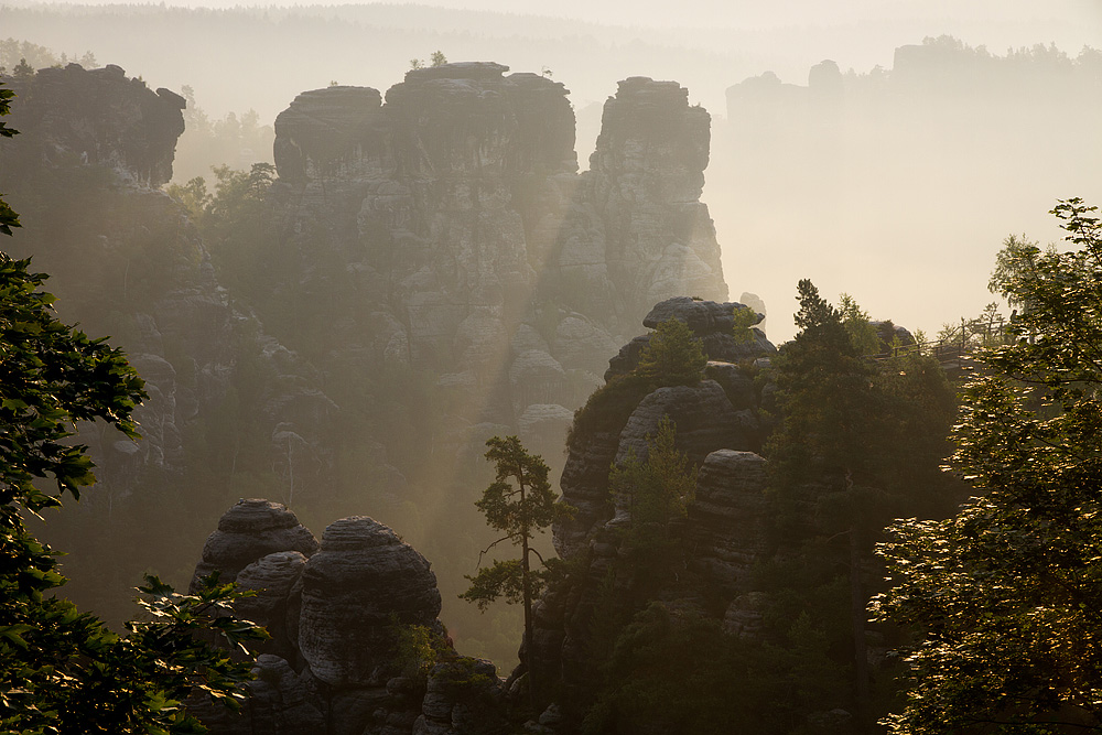 Wehlgrund am Morgen II