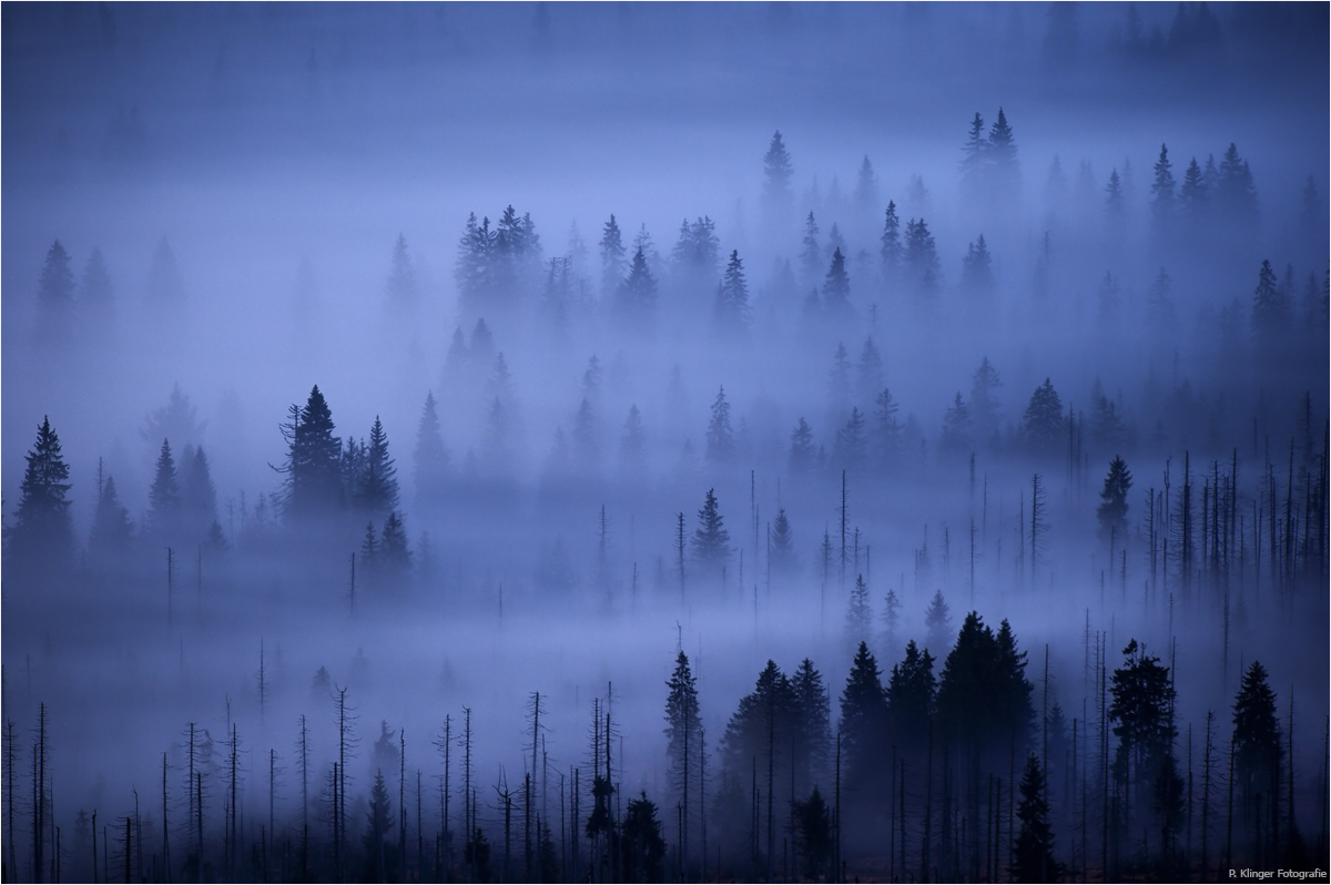 Bilder Gluckwunsche Gratis Vektoren Fotos Und Psds Freepik