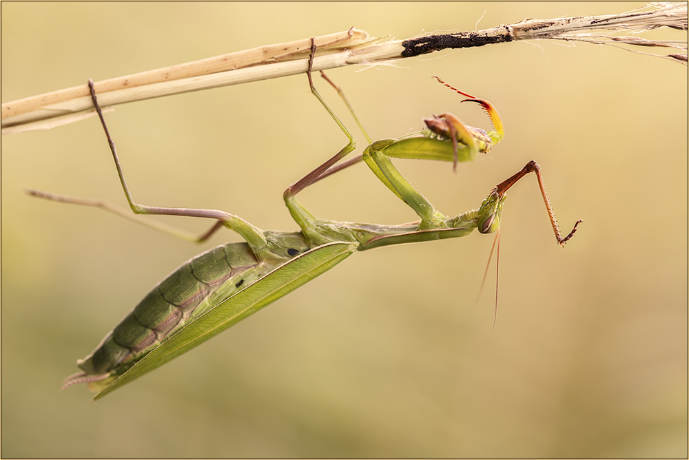 Feinschmecker-Foto 1 von einer ungewöhnlichen Erlebnisabfolge