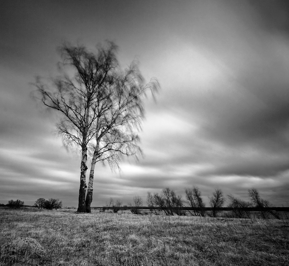 Sturm