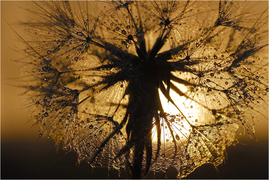 Sonne und Regen