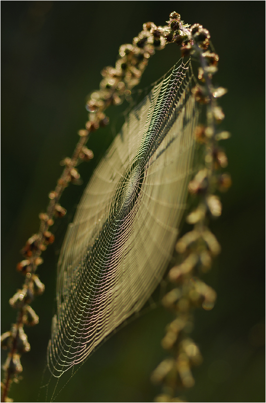 Atelier Natur