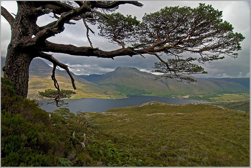 Loch Maree