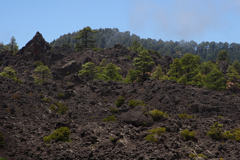 La Palma