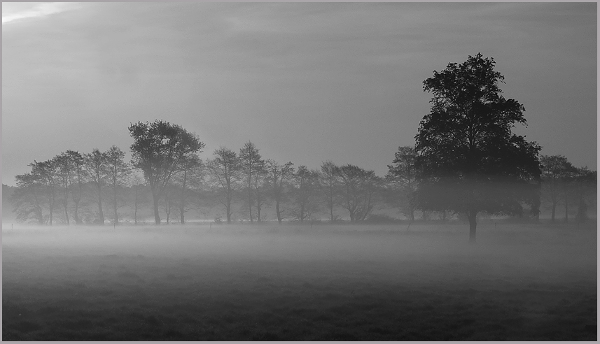 Morgenstimmung