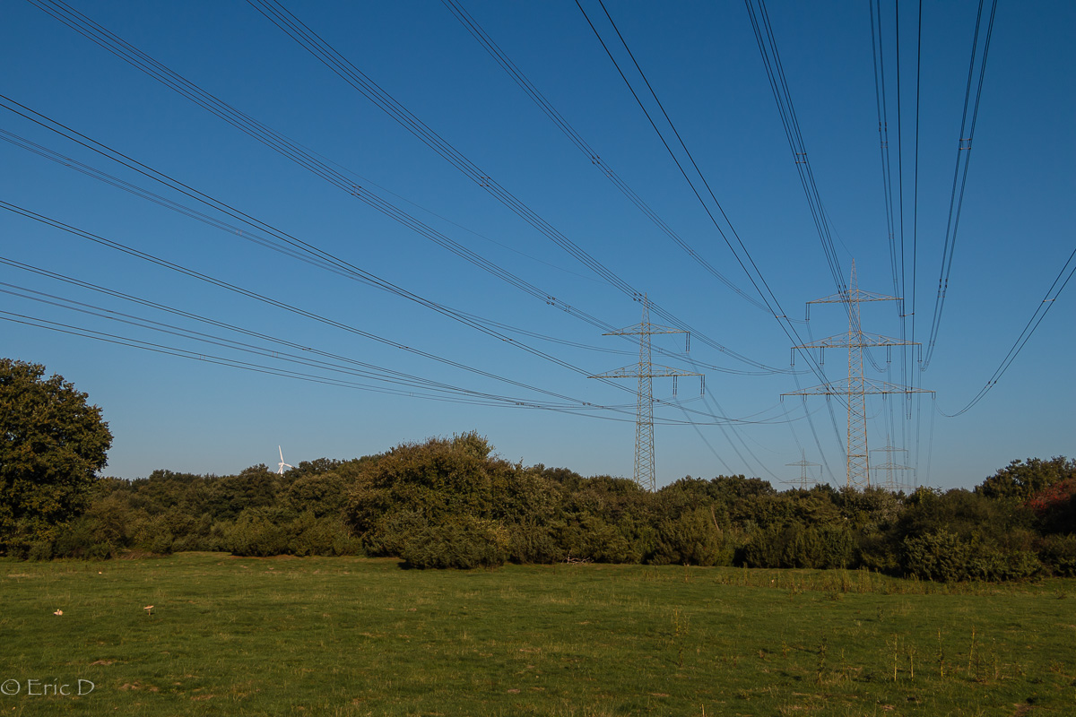 Ist das die Energiewende  oder einfach:  Erdkabel wären doch schöner