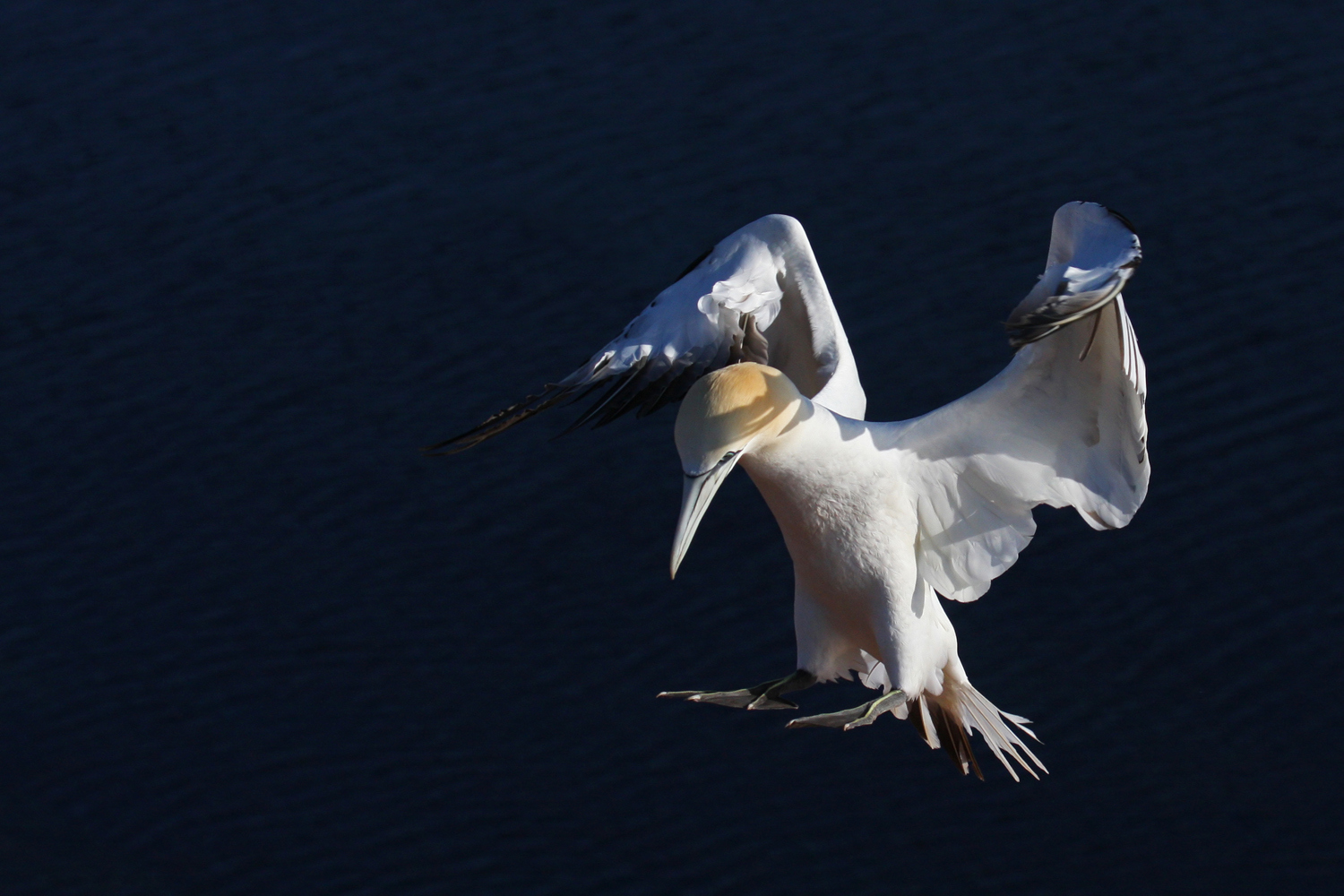 Landeanflug