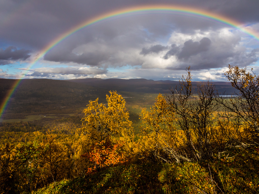 Herbst in Lappland