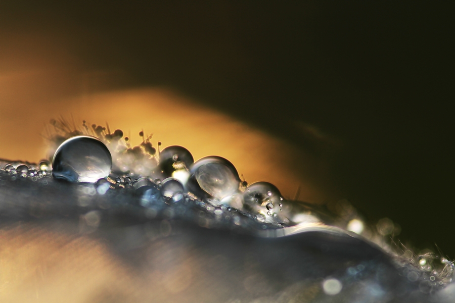 -waterline- (2)