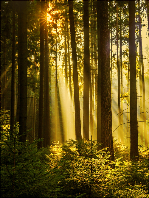 Goldener Oktober