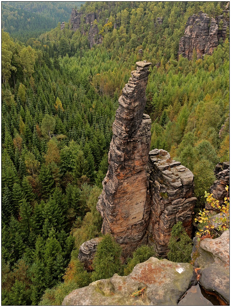 Im Dürrebielegrund