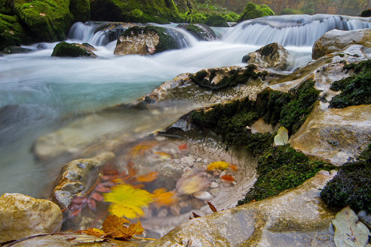 Herbstbach