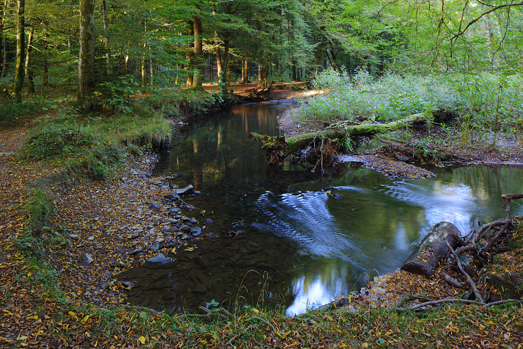 Meine "Wildnis vor der Tür"