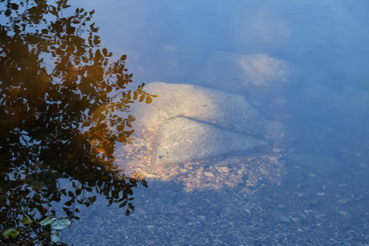 Am Grunde der Moldau...