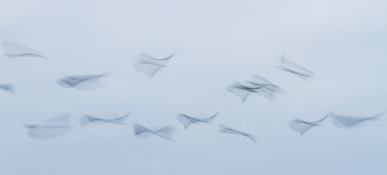 Fliegende Wellen