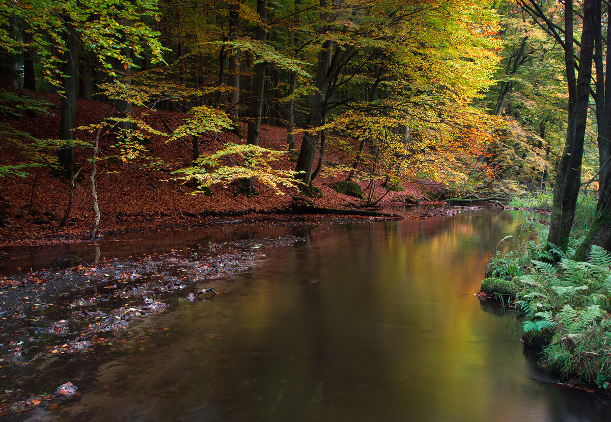 Kleiner Fluß in West Mecklenburg