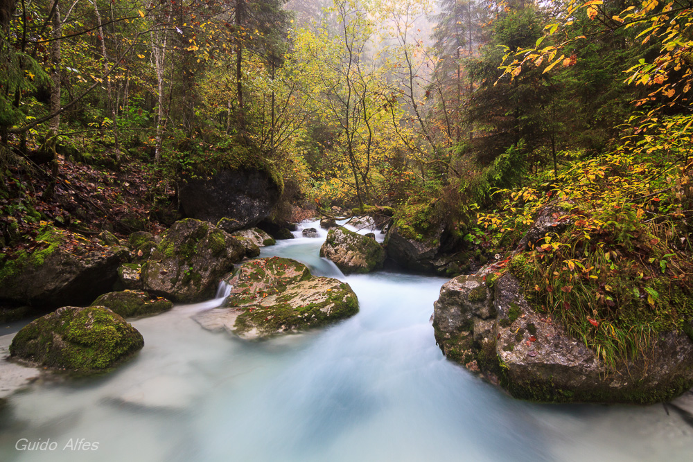 herbstlicher Bach