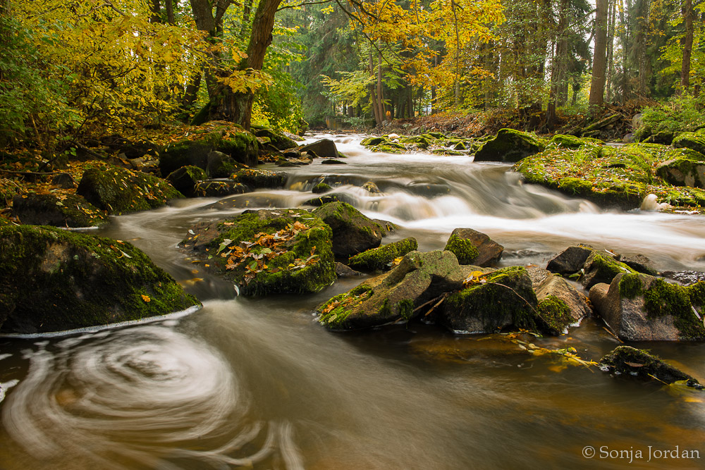 Herbst in der Blockheide