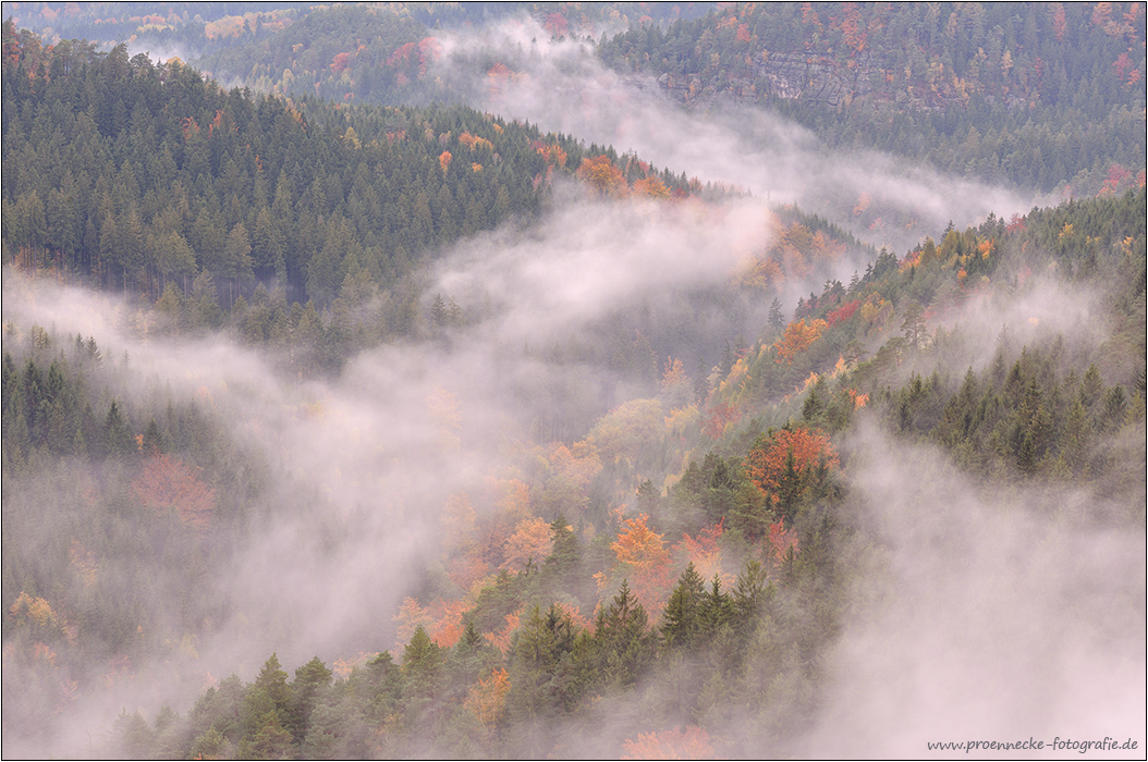 Herbstnebel