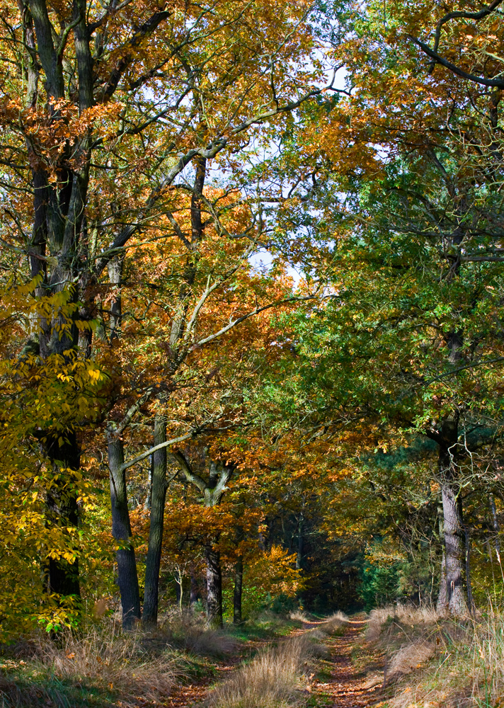 Herbst in Berlin