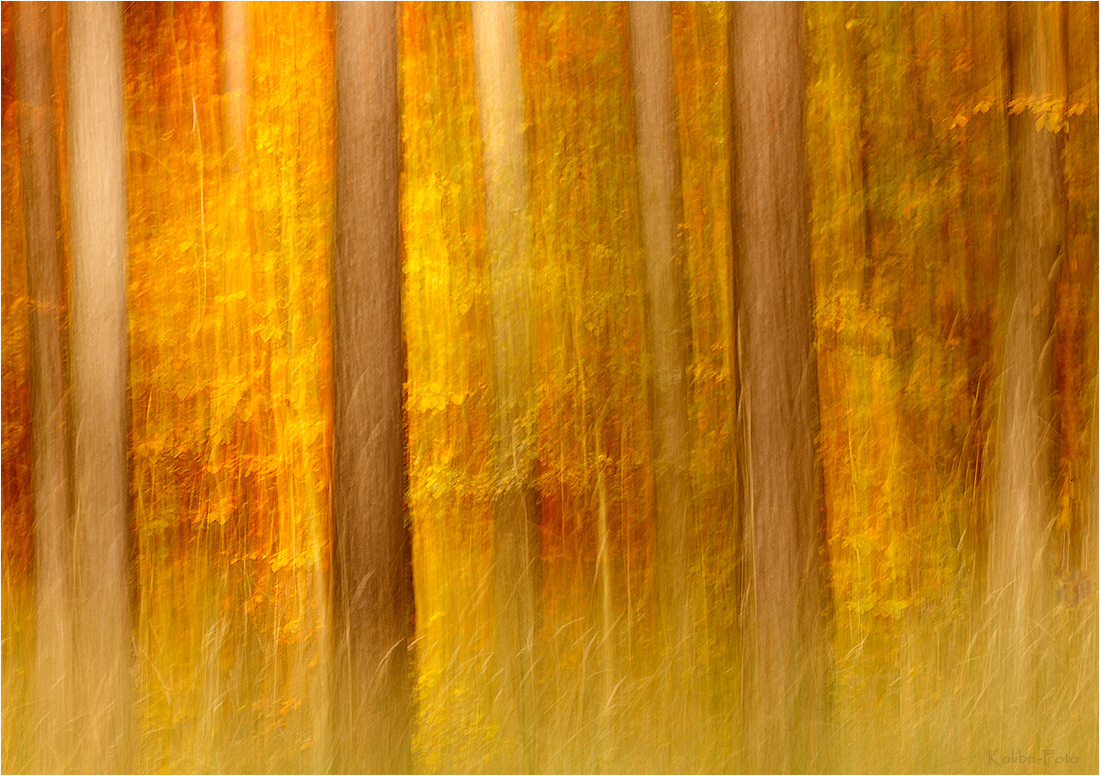 Herbstwischer