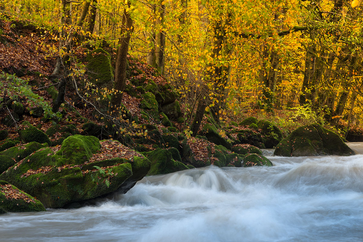 Eifelherbst