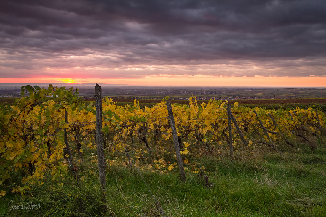 Herbstlicher Sonnenaufgang