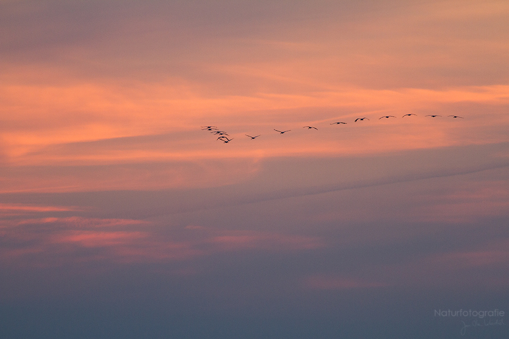 Der Flug ins Schlaflager