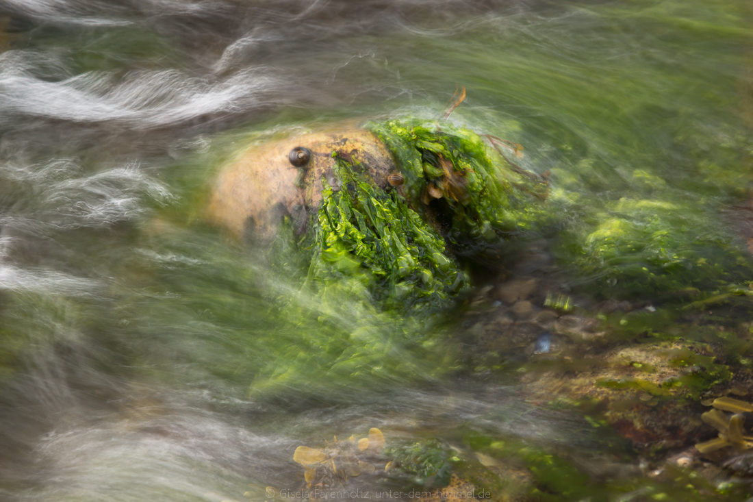 umspült von Salzwasser