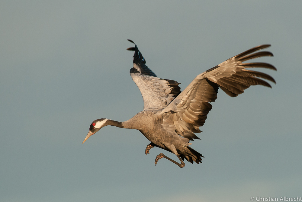 Landeanflug