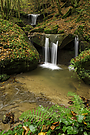 Butzerbachtal im Herbst...