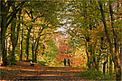 Farben-Lauf