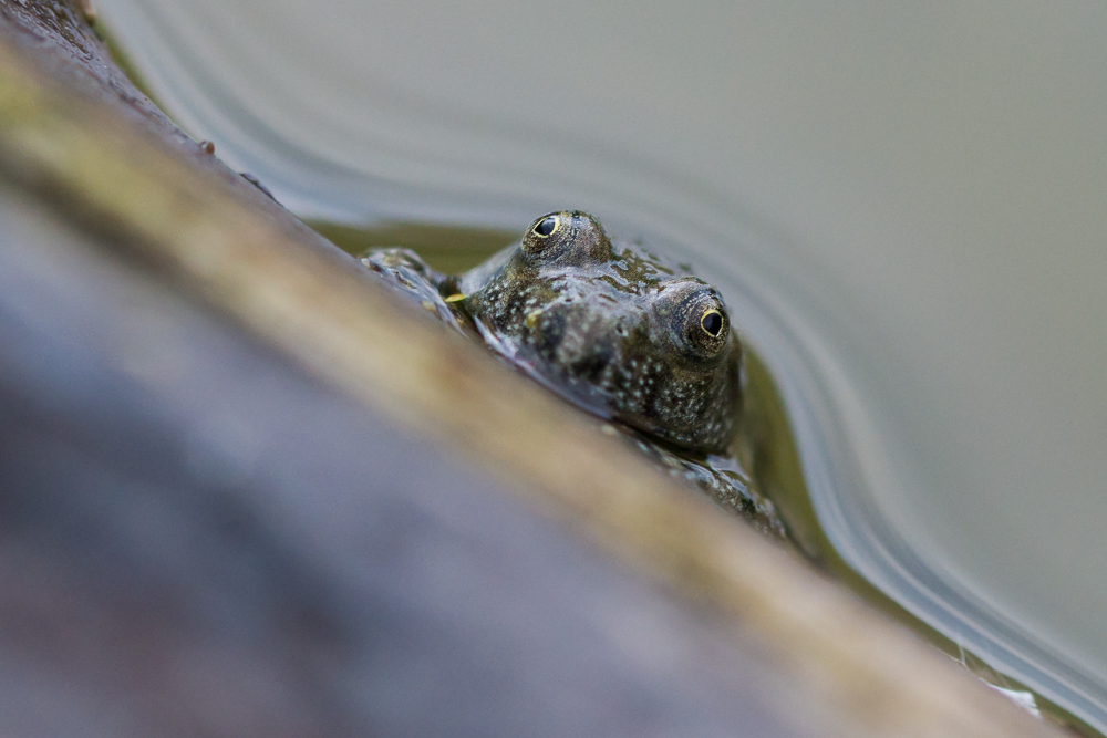 2 cm gross und schon Herzaugen