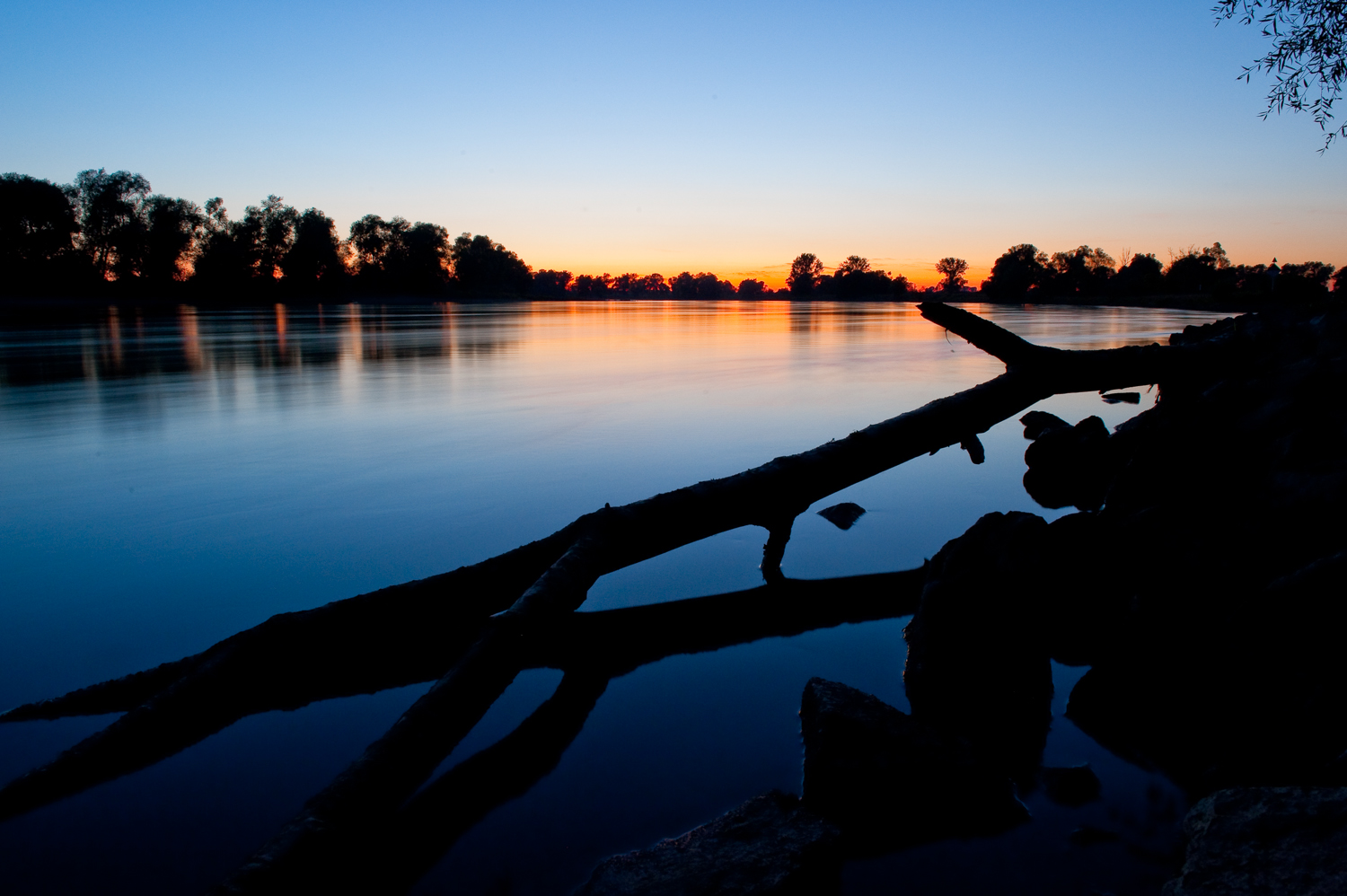 Blaue Stunde an der Donau