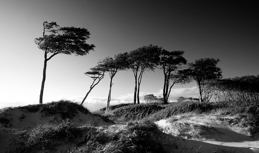 Weststrand