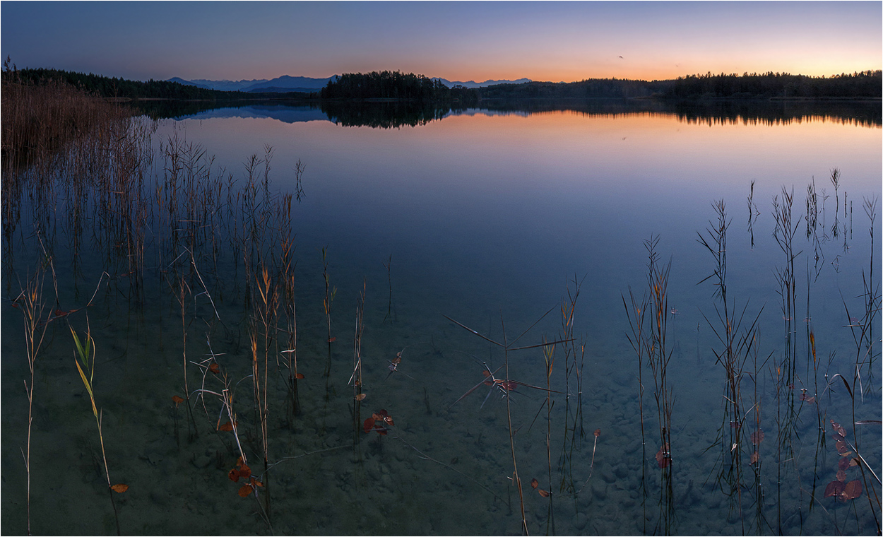 °°° Abendstimmung °°°