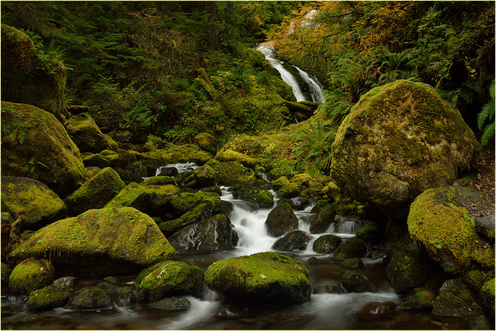 Bunch Falls