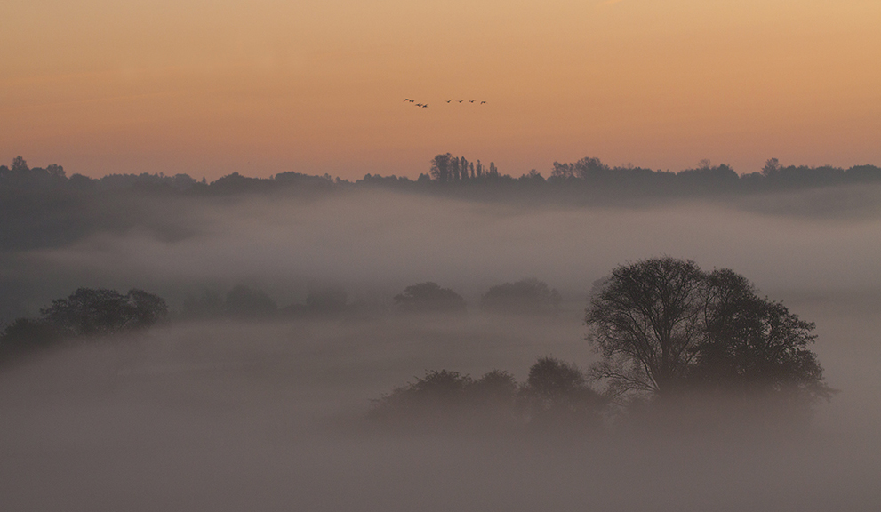 Morgenstimmung