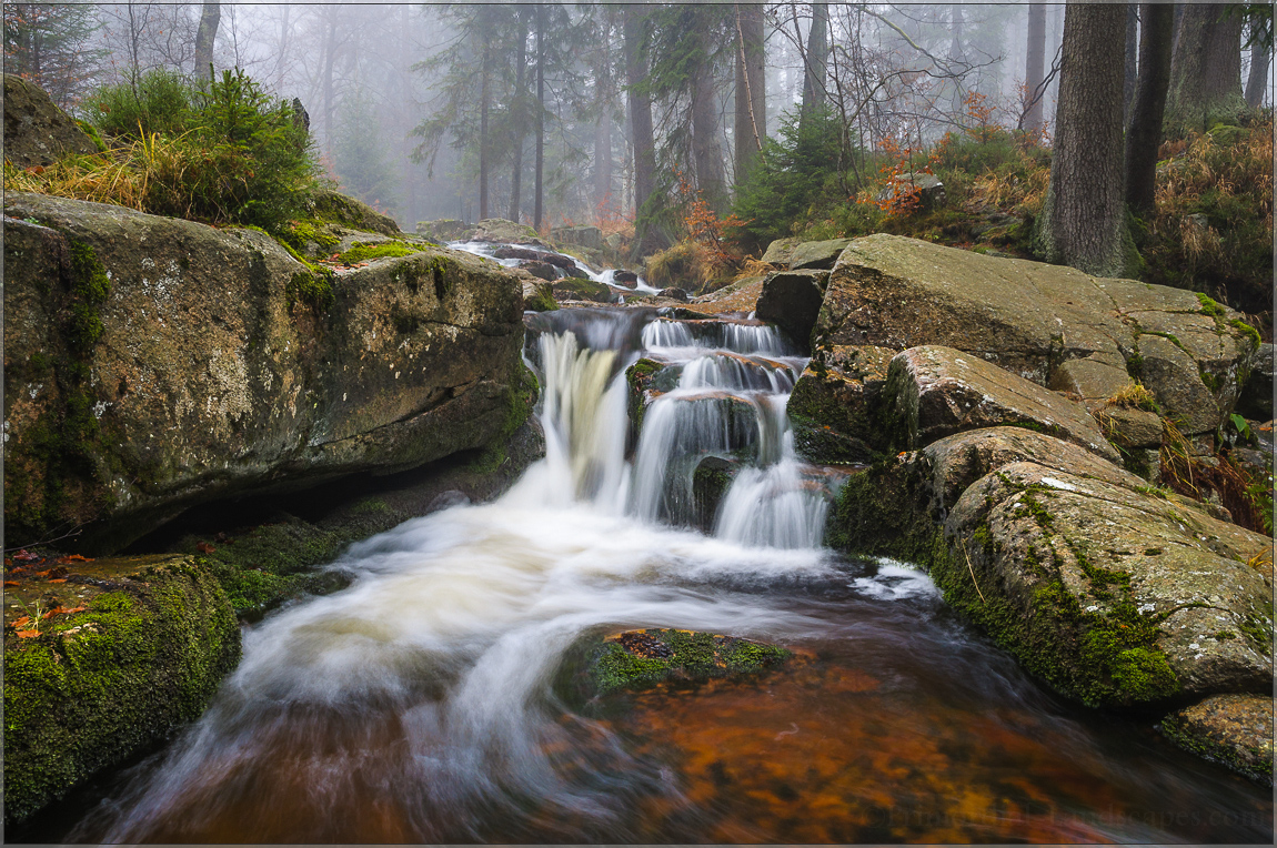 Warme Bode (Forum für Naturfotografen)