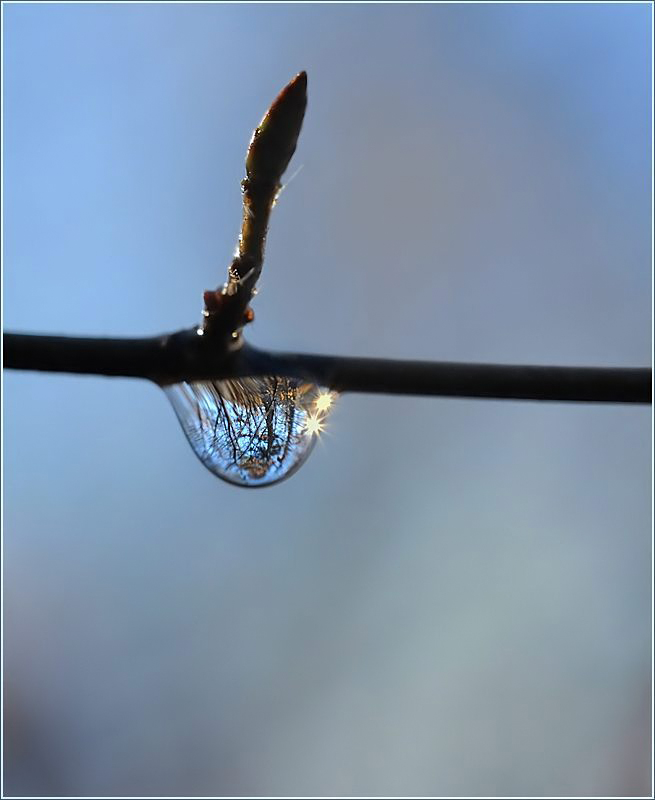 * H2O_3*