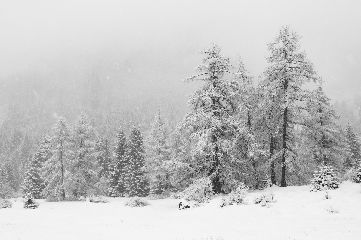 Grau in Grau..