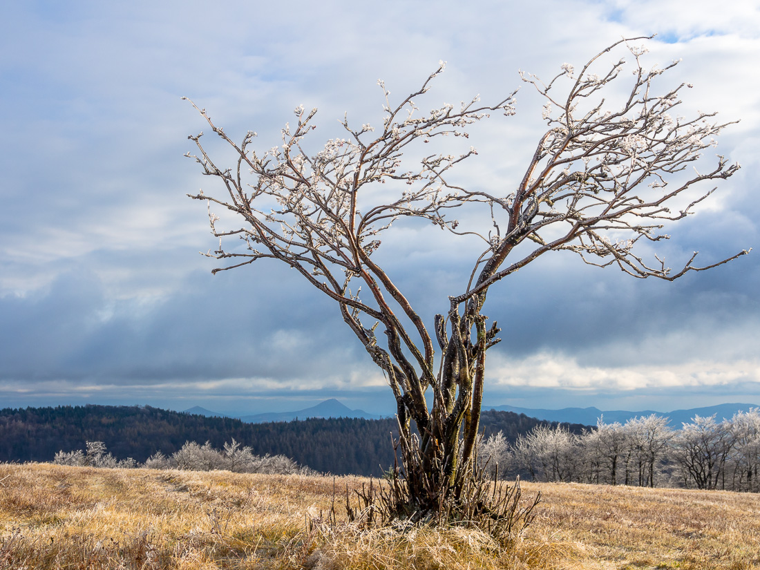 Winteranfang im Osterzgebirge