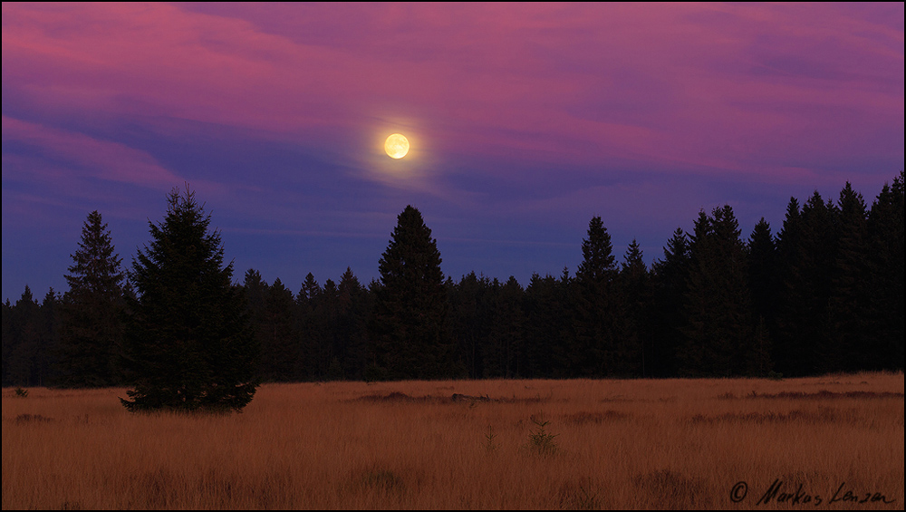 Vollmond im Hohen Venn