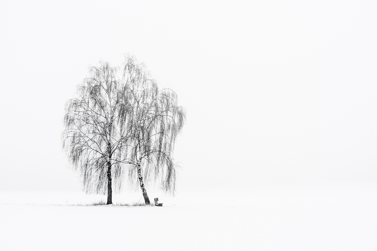 Winteraussicht