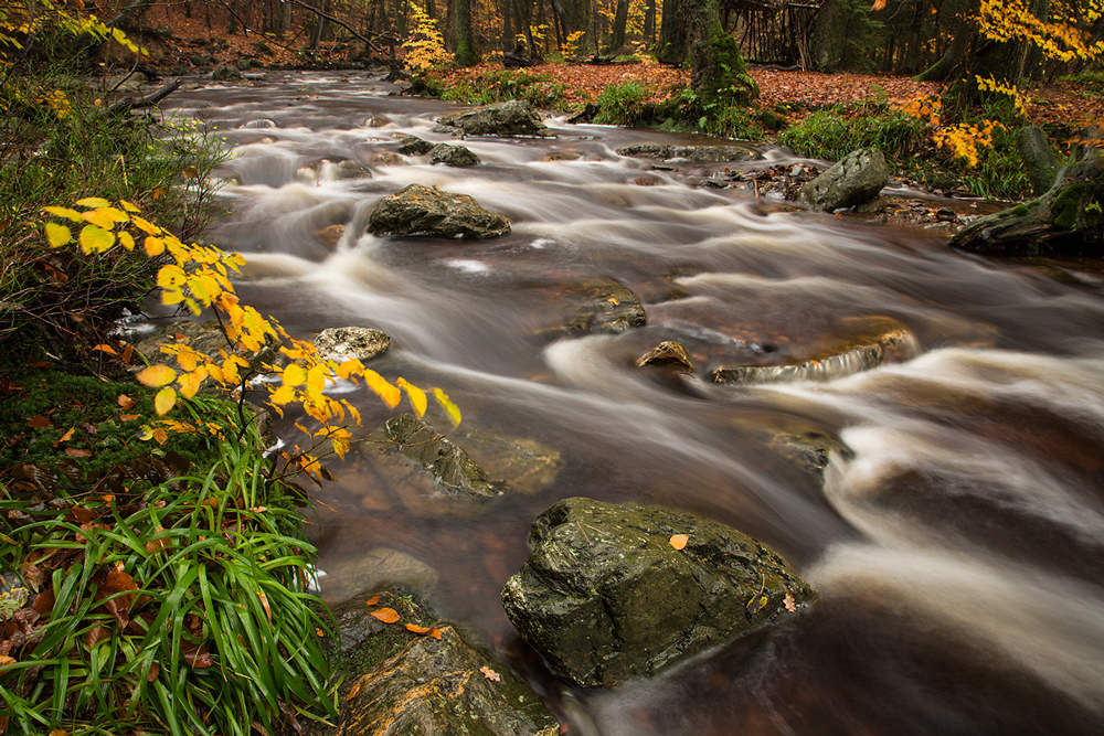 Noch einmal Herbst