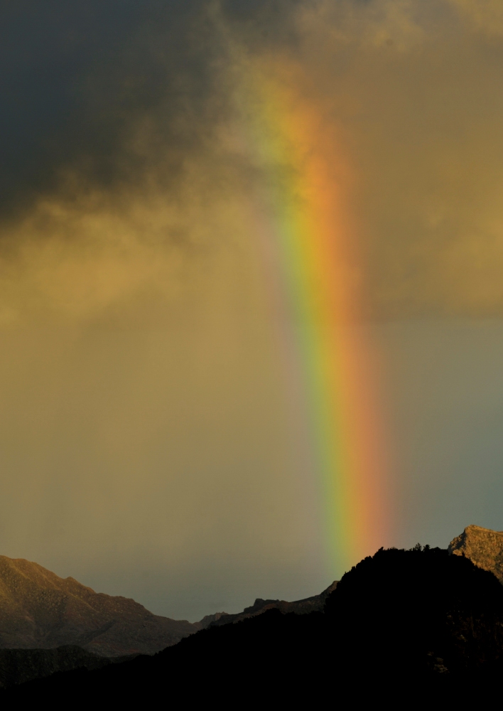 Regenbogen