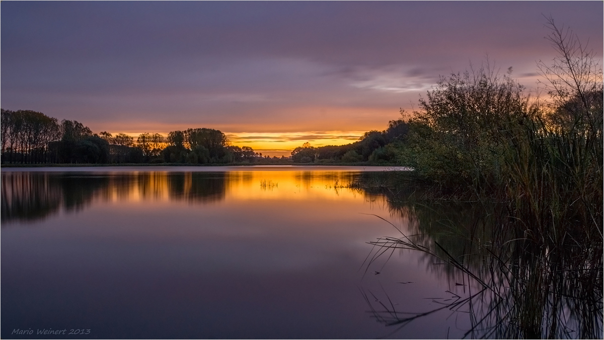 Goldenes Morgenlicht